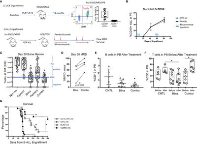 PD-1 Inhibition Enhances Blinatumomab Response in a UCB/PDX Model of Relapsed Pediatric B-Cell Acute Lymphoblastic Leukemia